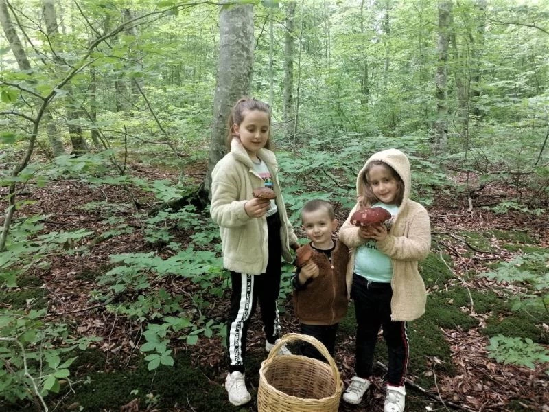 Ormandaki en güzel mantarı bulmak bu çocukların işi
