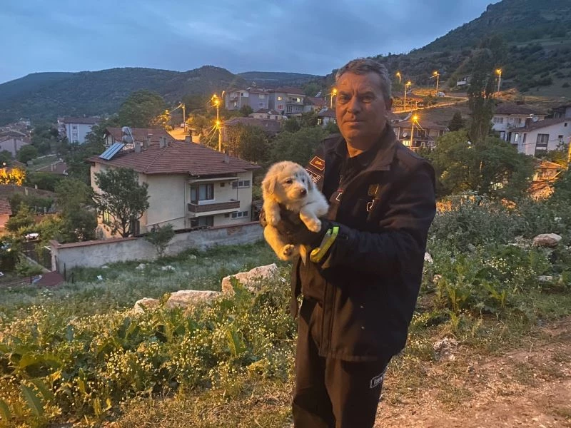 Otomobilin motor ile ön tekerleği arasına sıkışan yavru köpek kurtarıldı
