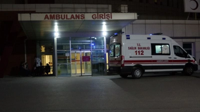 Beslediği pitbull kardeşini yaraladı
