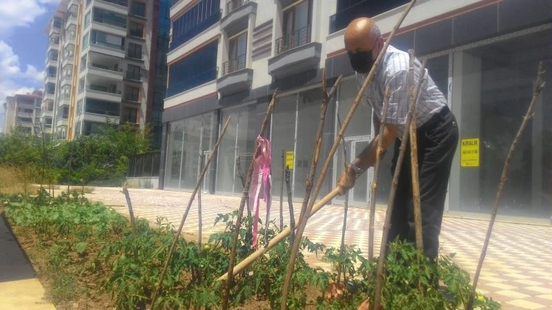 Kısıtlamayı fırsat bildi, apartman önünü hobi bahçesi yaptı
