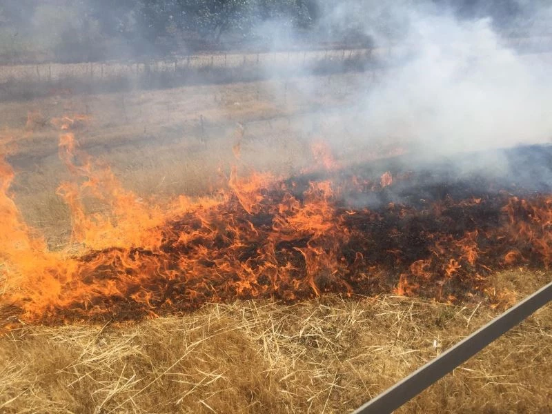 Doğa Koruma ve Milli Parklar ekibi bu defa alevlerle mücadele etti
