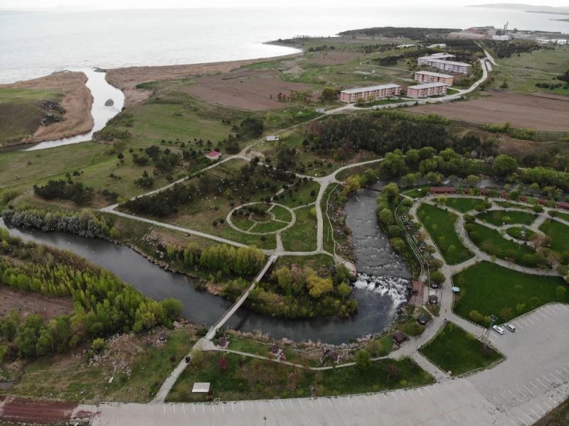 İnci kefalinin muhteşem zorlu yolculuğu devam ediyor
