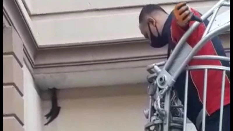 Kanadı sıkışan ebabil kuşunun imdadına itfaiye yetişti
