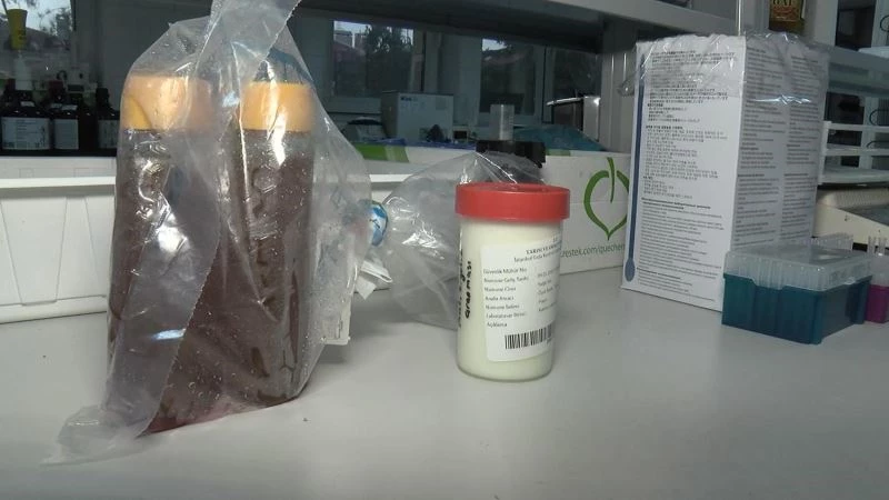 13 ürüne izin çıktı, ihracat yapabilecekler
