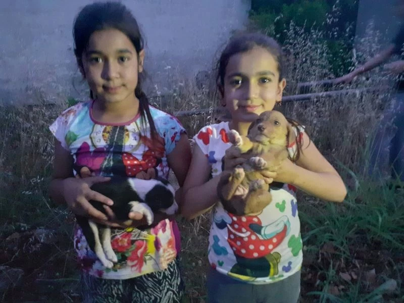 Çuvalda ölüme terk edilen köpek yavrularını çocuklar kurtardı
