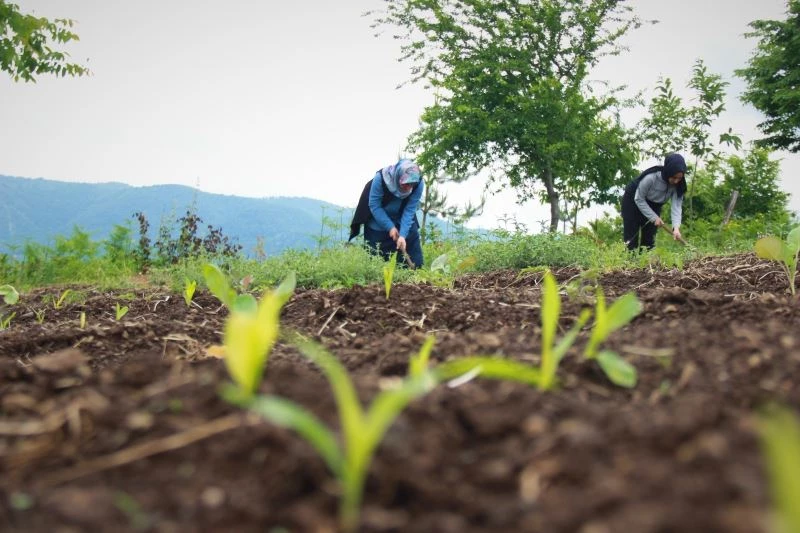Kırsalın girişimci kadınları, bu projeyle daha da güçlendi
