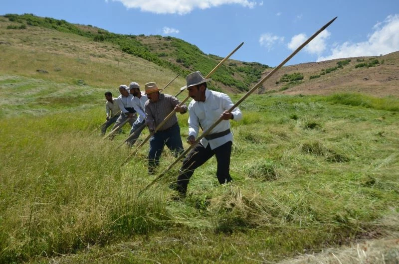 Muş’ta tırpancıların zorlu ot biçme mesaisi başladı
