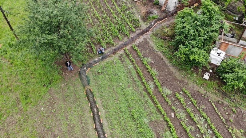 Tavuklara tünelle transit geçiş
