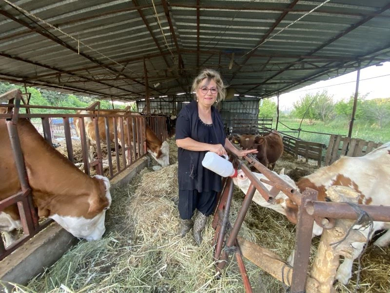 (ÖZEL) Tatile geldiği ilçede hayatının aşkını buldu, şehir yaşamını bırakıp besiciliğe başladı
