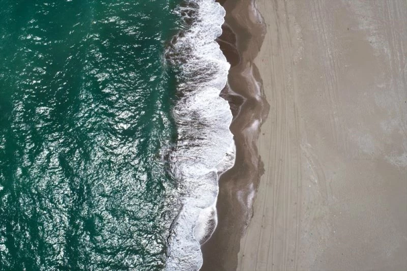 Yeşil deniz kaplumbağaları, Adana Akyatan Sahili