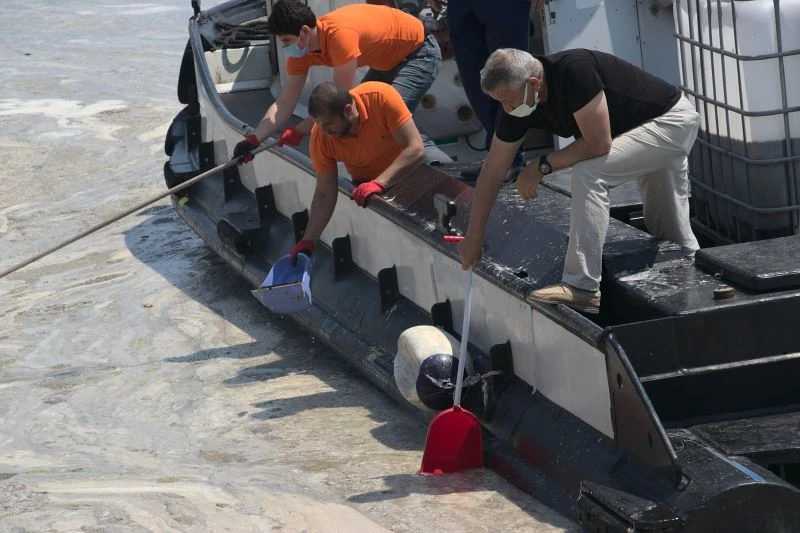 Vatandaşlar deniz salyasını küreklerle topladı
