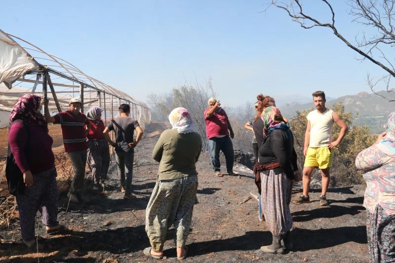 Antalya’daki arazi yangınında seraların naylon örtüleri ve zeytin ağaçları küle döndü
