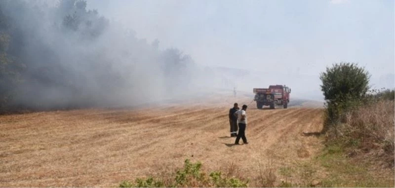 Kanepe hurdasını almak içi ormanı yakıyordu, 155 bin TL para cezasına çarptılırdı

