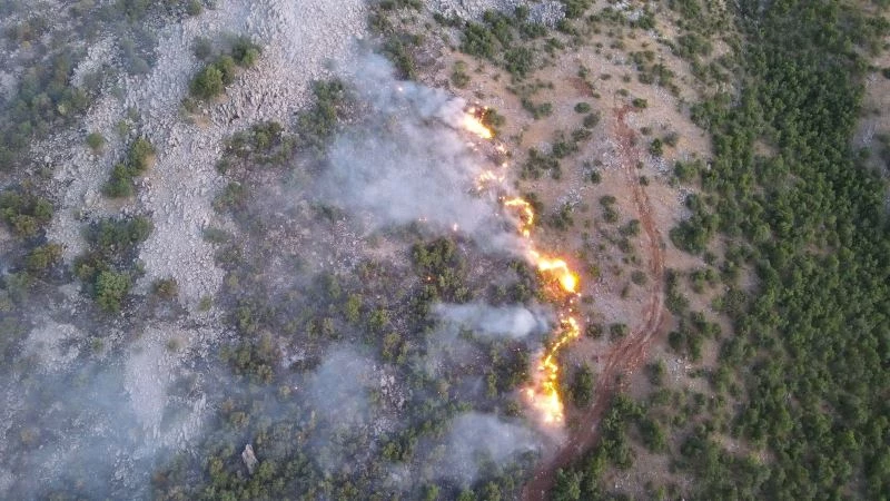Orman yangınını söndürme çalışmaları çok sayıda ekiple sürüyor
