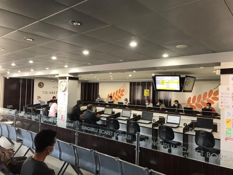 Sungurlu’da ilk mahsul borsaya geldi
