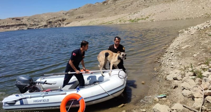 Batman Çayında uzun süre mahsur kalan köpek itfaiye ekiplerince kurtarıldı
