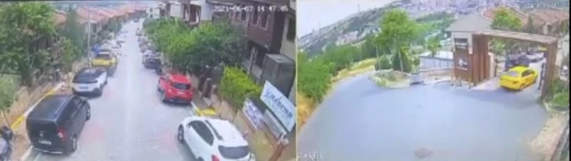 (Özel) İstanbul’da feci olay: Taksici köpeği ezip kaçtı
