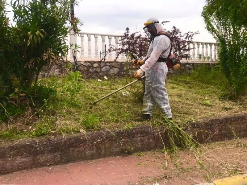 Daha yeşil bir Gülüç için ekipler seferber oldu
