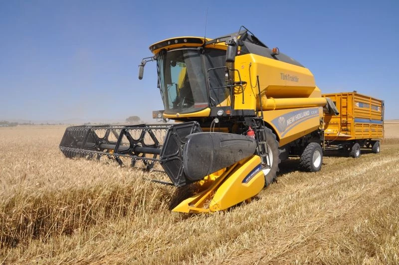 Mardin’de sulu buğdayda verim artışı çiftçiyi sevindirdi
