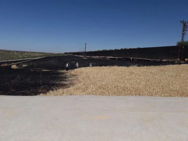 Manastıra ait 19 dönüm arpa yandı
