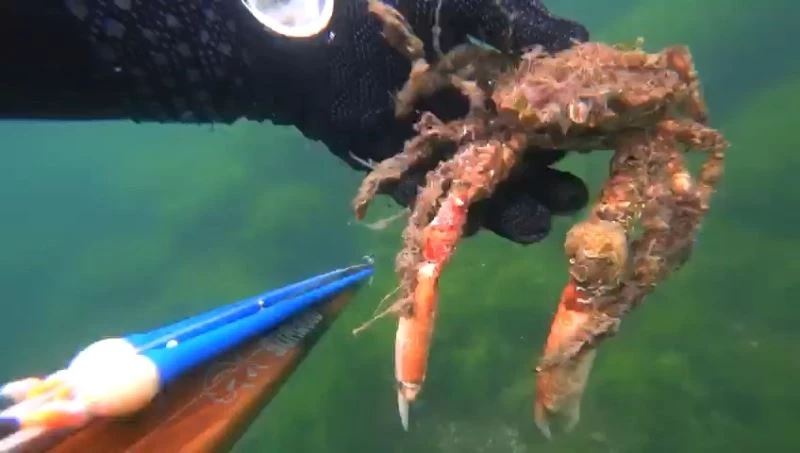 İzmit Körfezi’nin dibinde ürperten görüntüler
