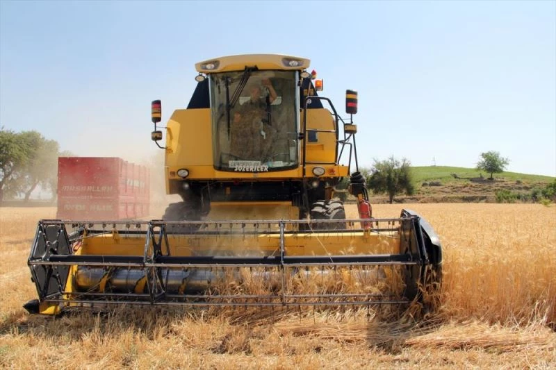 İlkbahar yağmurlarıyla bereketlenen Amik Ovası