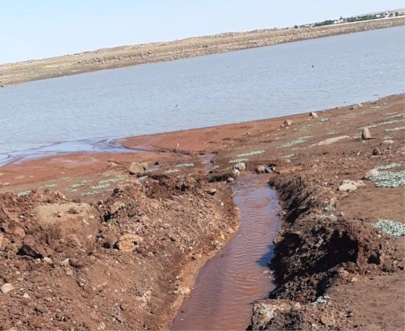 Balıklar için kuyudan gölete kanal açtılar
