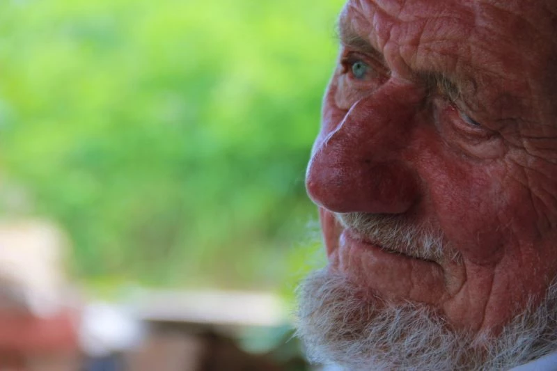 Asırlık çınarın hüzünlendiren hikayesi
