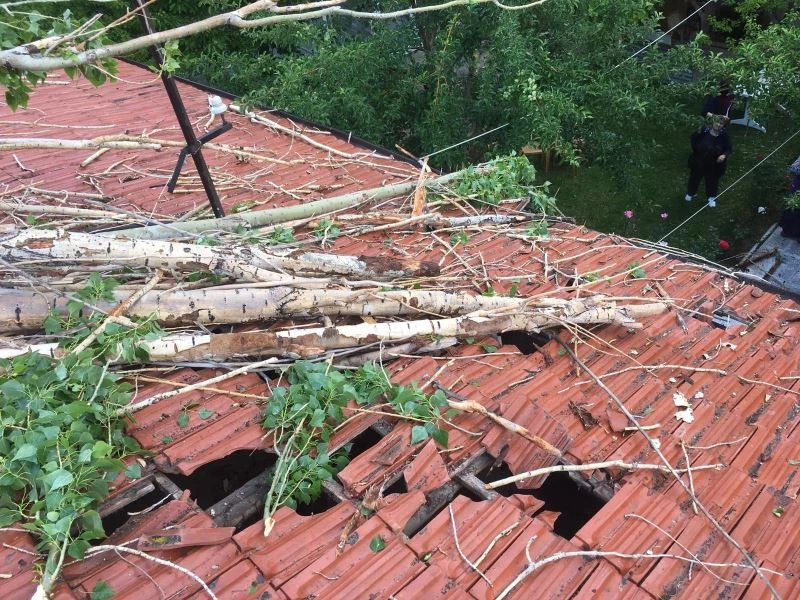 Rüzgarın devirdiği ağaç çatıda hasara neden oldu
