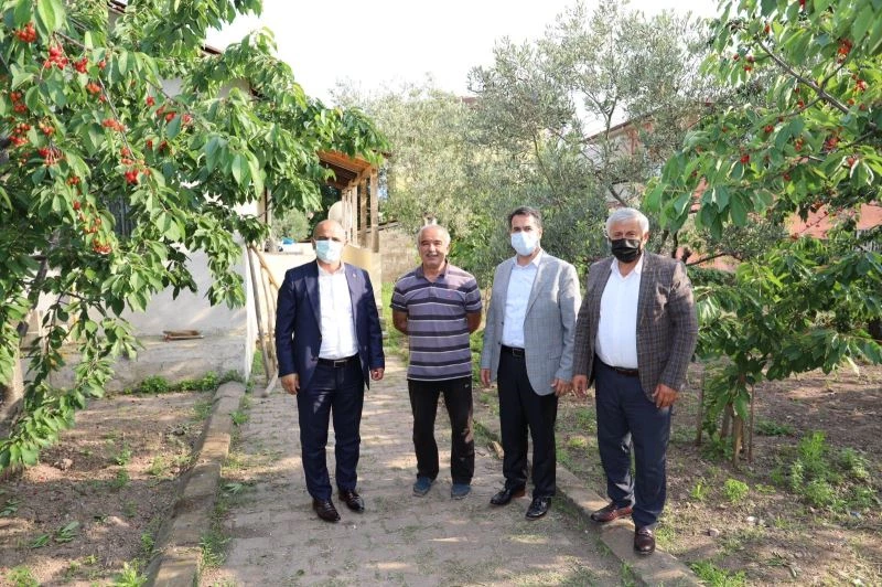 Yarımca Kirazının değerinin artması için adımlar atılıyor
