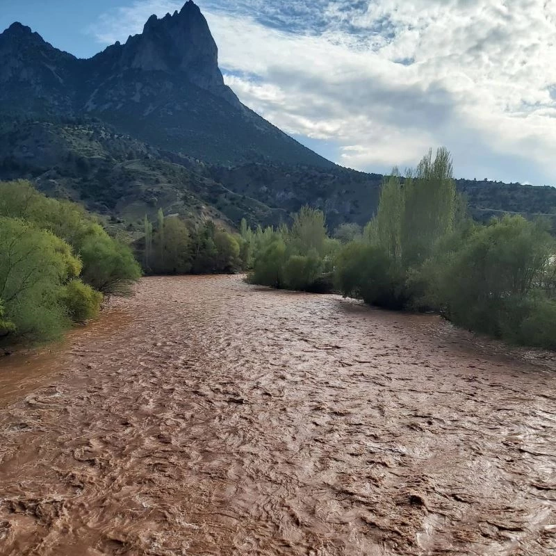 Sakarya nehri kızıla boyandı
