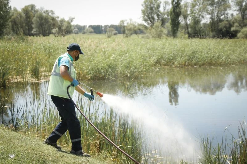 Yedi Göller ilaçlandı
