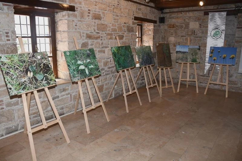 Kuşadası’nın tülüşahı İbramaki Sanat Galerisi’nde görücüye çıktı
