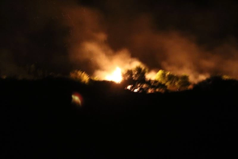 Meriç Nehri’ndeki adada çıkan yangında ağaçlar zarar gördü
