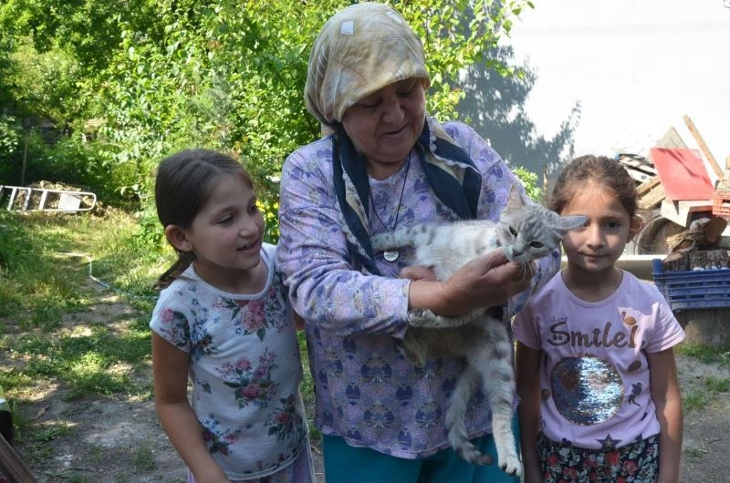 Sağlığına kavuşan kedisini kucağına alınca dünyalar onun oldu
