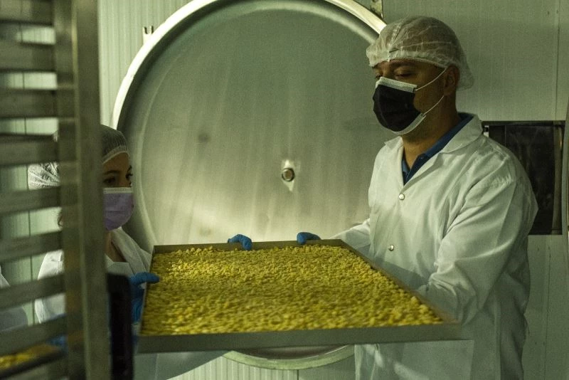 Gastronomi Şehrinin” Modern Kurutmalıkları” dünyaya ihraç ediliyor
