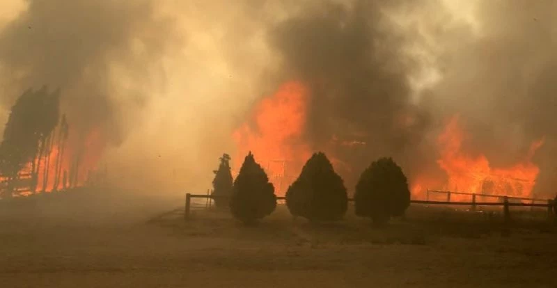 Aşırı sıcakların kasıp kavurduğu Kanada’da orman yangını
