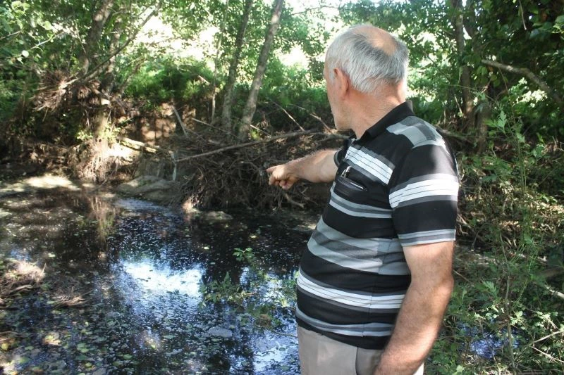 Manyas’ta derelerde kirliliğin önü alınmıyor
