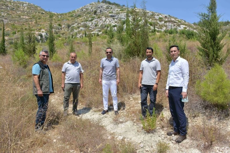 Başkan Güngör: “Tarihi kervan yolunda son aşamaya geldik”
