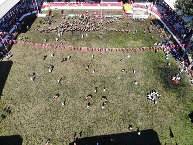 Kırkpınar’da yarı finale yükselen başpehlivanlar belli oldu
