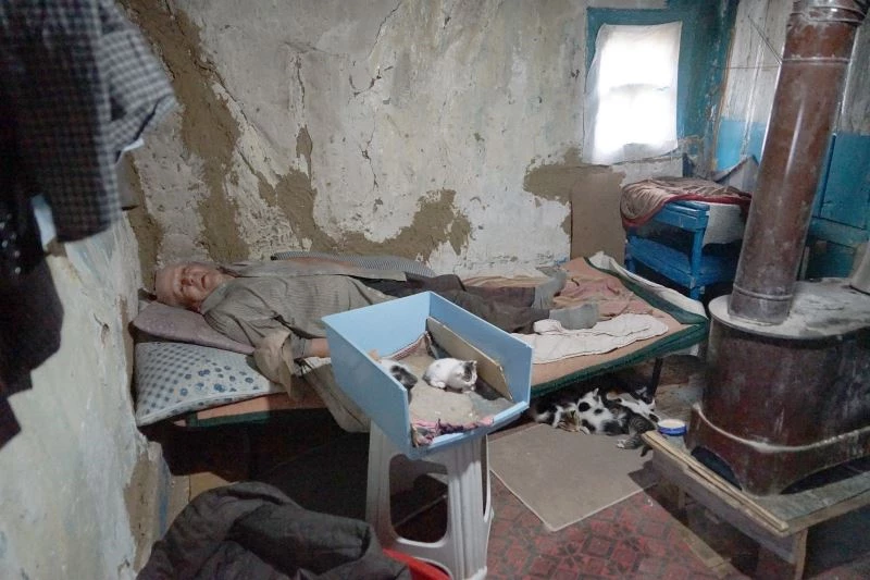 Barakada yaşayan vatandaş, bir lokma ekmeğini 36 kedi ile paylaşıyor
