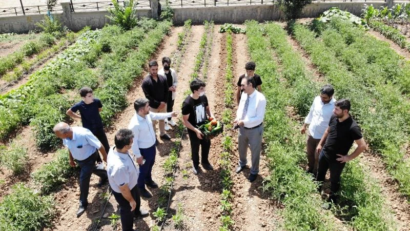 İhtiyaç sahibi ailelerin sebzeleri imam hatipli öğrencilerden
