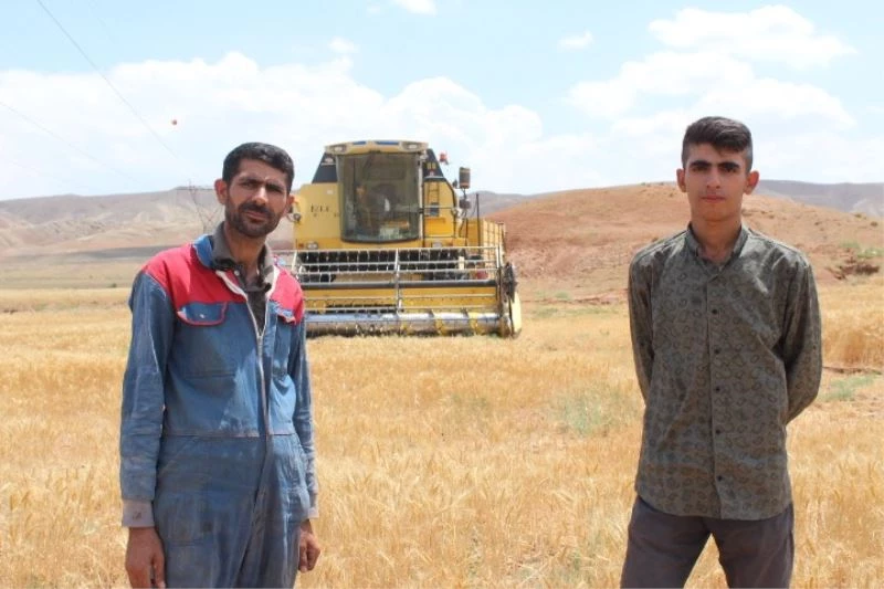 Biçerdövercilerin aylar süren zorlu gurbet mesaisi başladı
