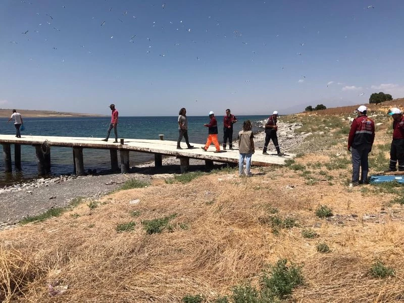 Adadaki ölü martılar toplatıldı
