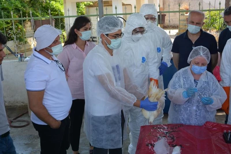 İl Tarım personeline Kuş Gribi eğitimi verildi
