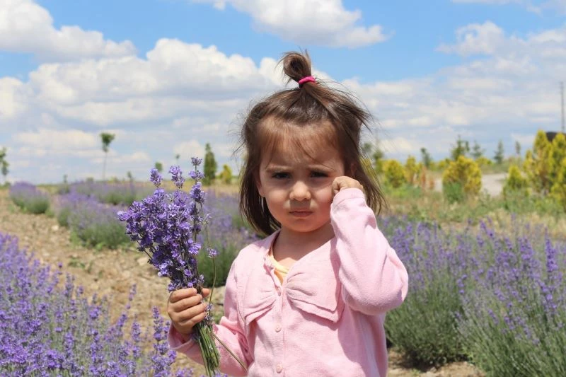 Yetişmez dediler, o kulak asmadı şimdi hasada gün sayıyor
