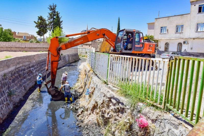 Ceylanpınar Antep Deresinde temizlik çalışması başlatıldı
