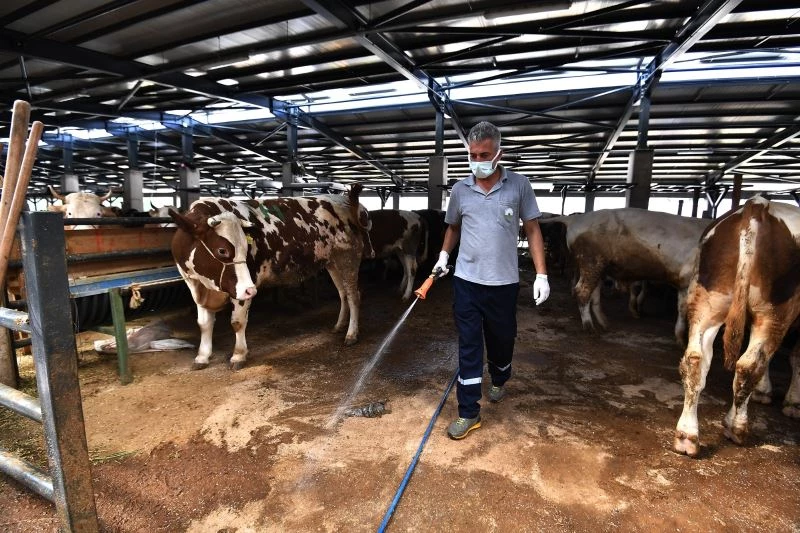 Bu ekipten uçan da kaçamıyor
