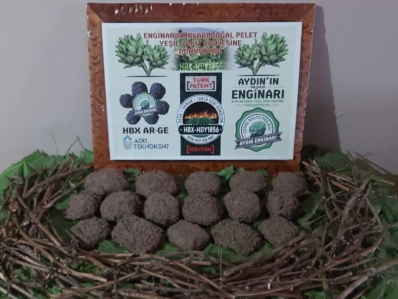 Enginar sadece sağlık değil aynı zamanda çevre dostu çıktı
