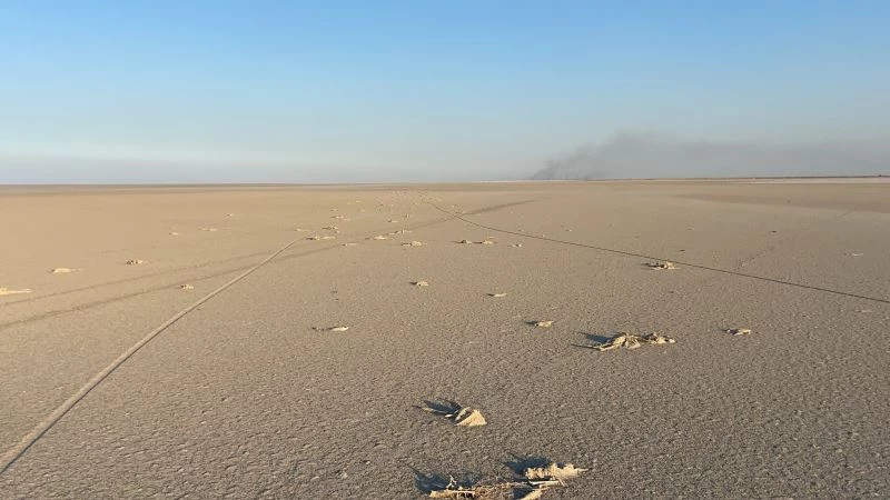 Konya Valiliğinden Tuz Gölü’ndeki flamingo ölümlerine inceleme
